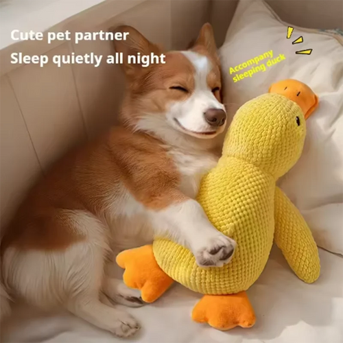 TruePaw™ Interactive Dog Toy